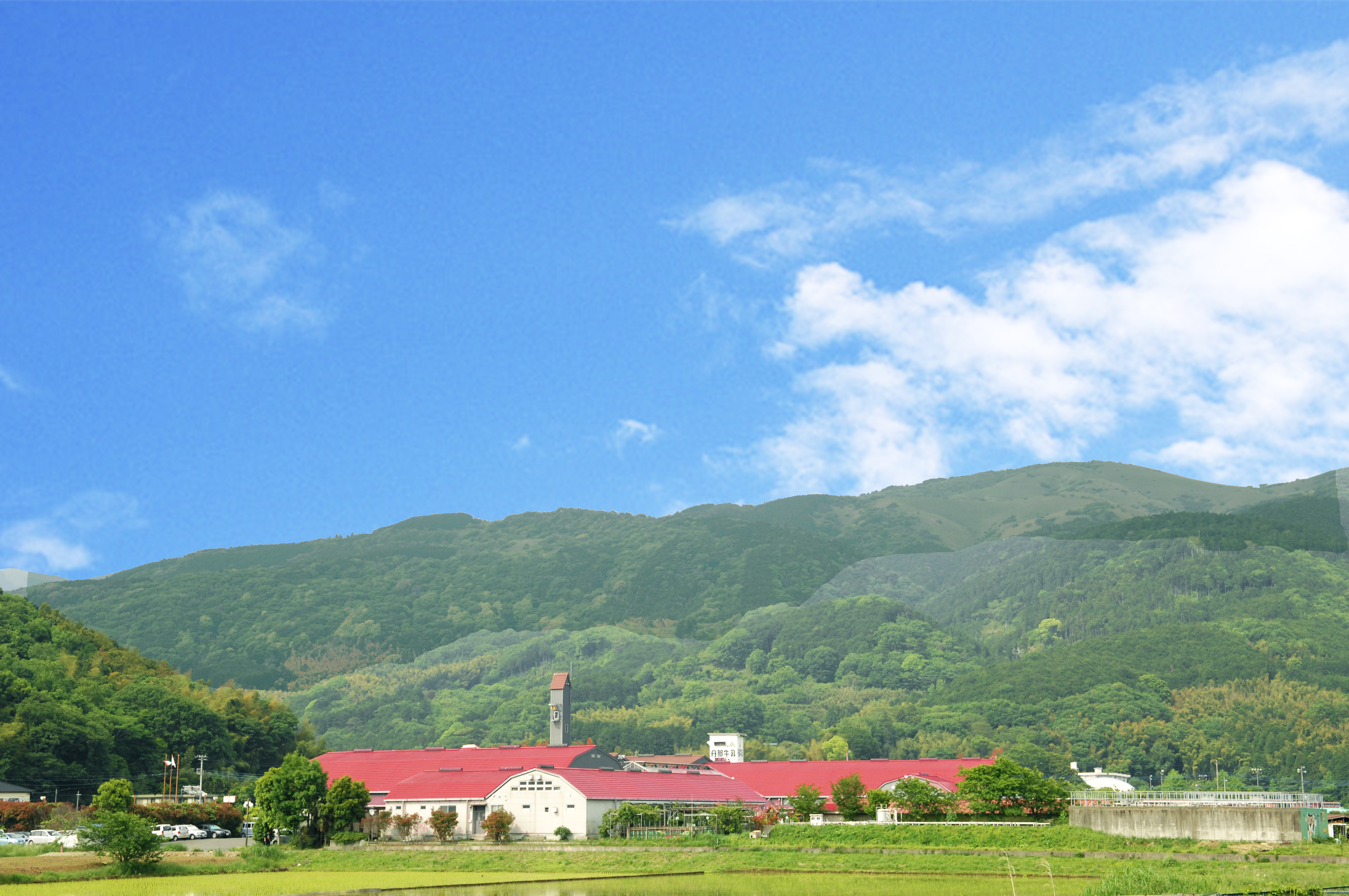 酪農王国株式会社